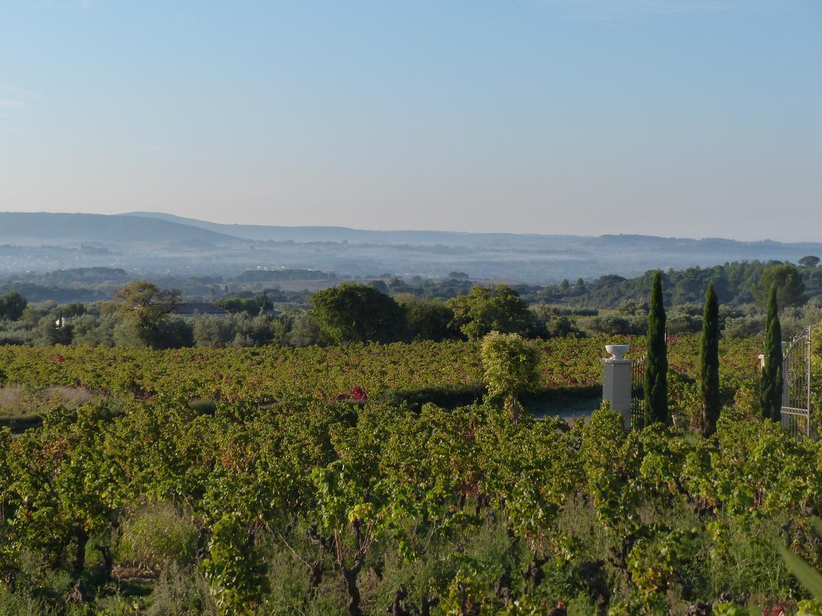Chateau De Valloubiere-Gite Saint-Jean-de-Fos Bagian luar foto